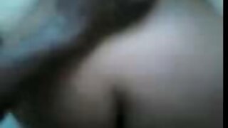 ბუქსომ ქერა კუტი და  ...